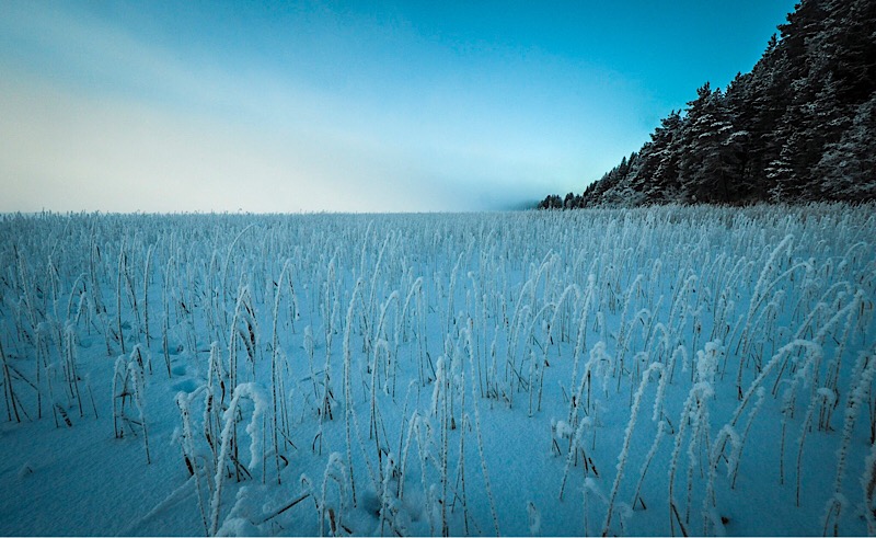 Schnee Frost Natur Kalevala Spirit