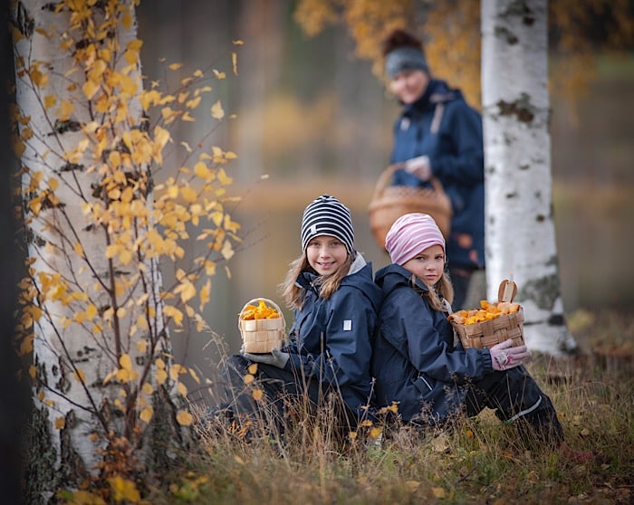 Pilze sammeln in Finnland