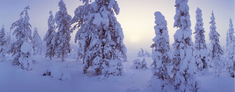 Finnische Winter Landschaft